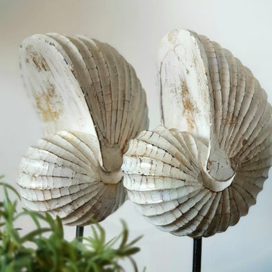 Wooden Sea Shell With Stand