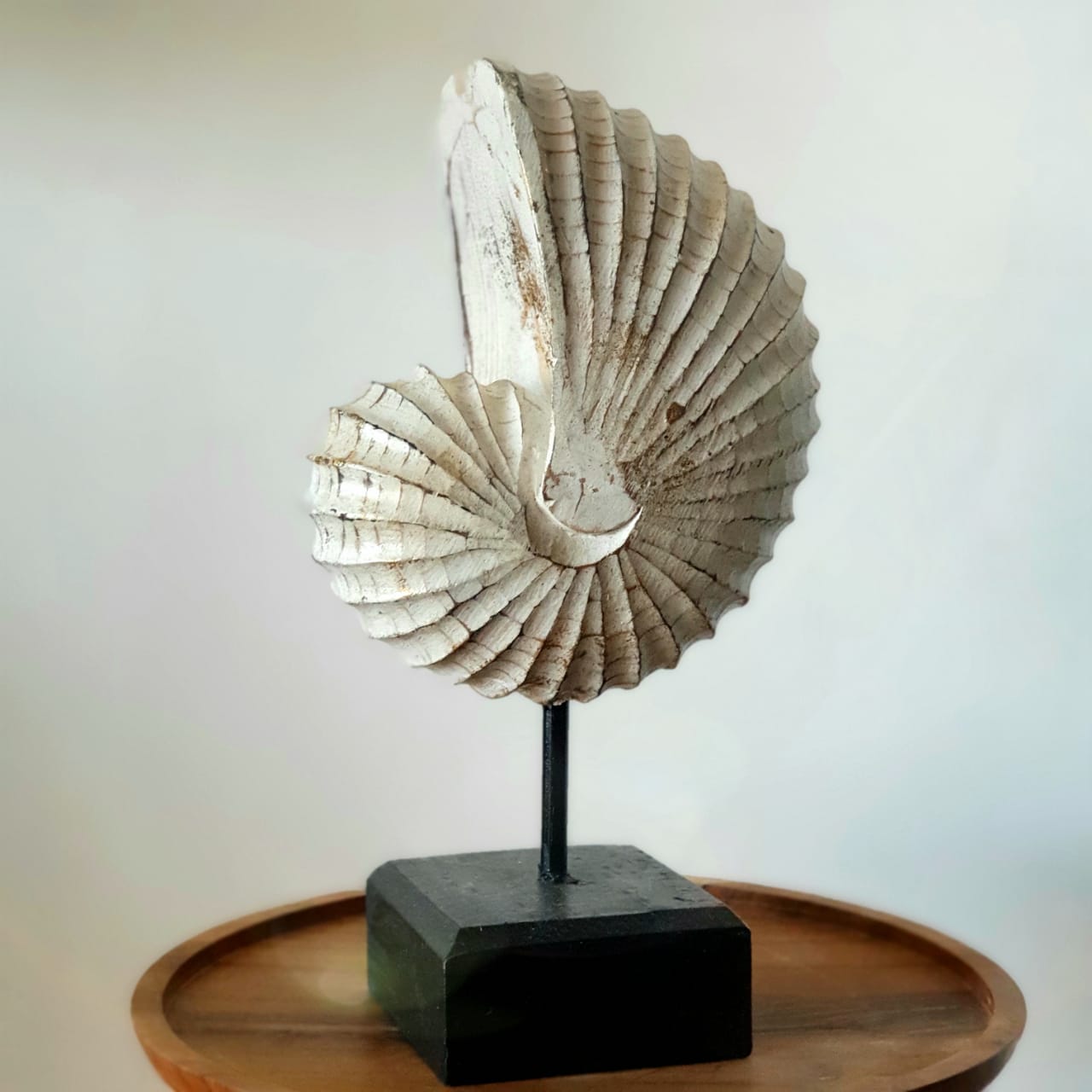 Shell Shape Stand Wooden Sea Shell With Stand – Canggu & Co