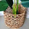 Large Round Water Hyacinth Basket