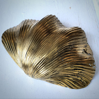 Large Golden Brass Clam Shells