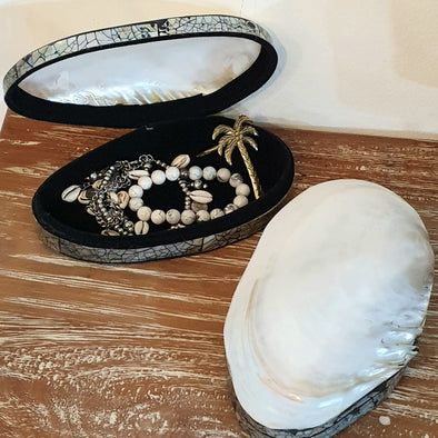 Shell Jewelry Box With Lining