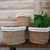 Natural Straw Grass Basket Sets With Moon Shells - Canggu & Co