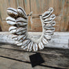 Large Sea Shell Necklace With Stand - Canggu & Co