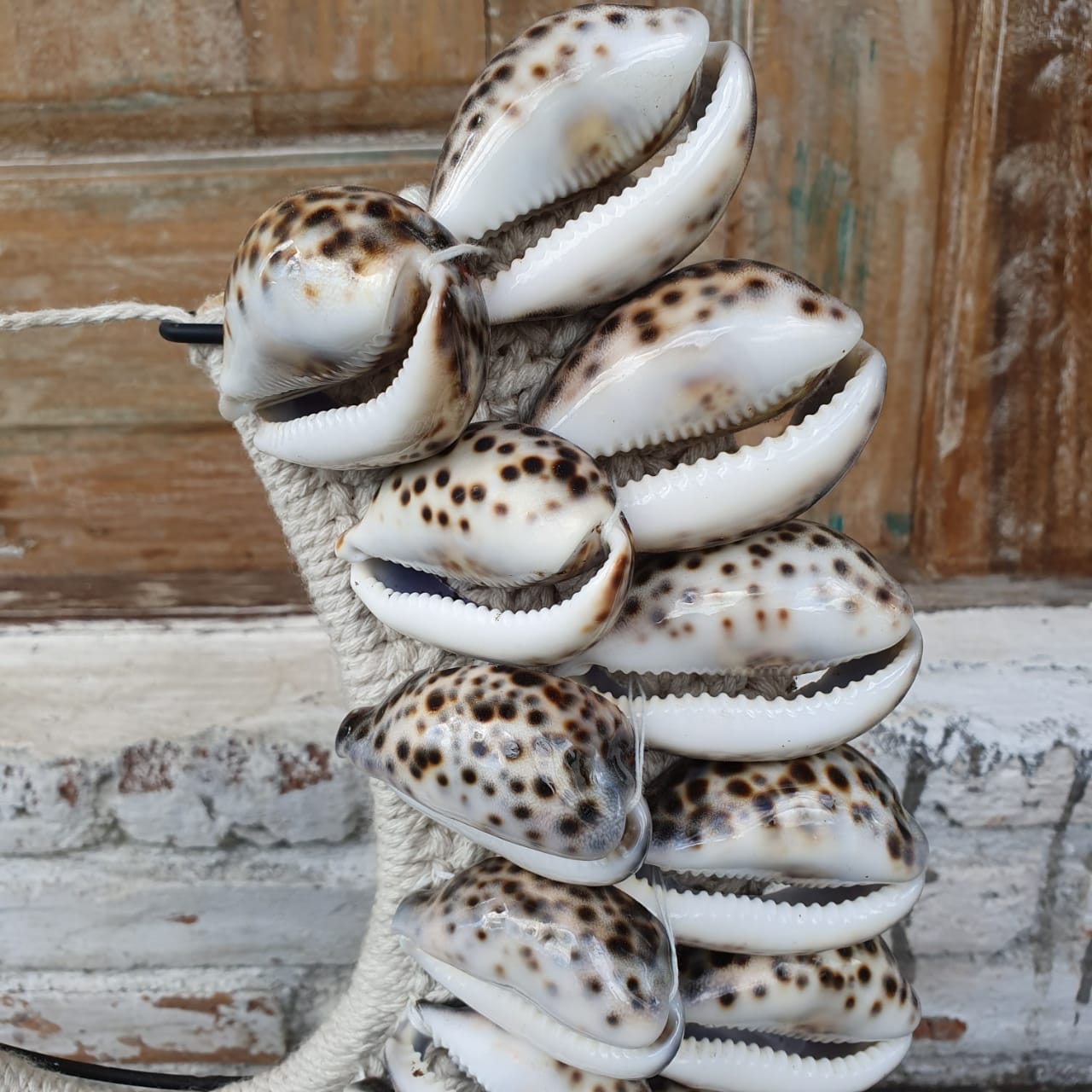 Large Sea Shell Necklace With Stand Canggu Co