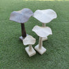 Wooden Mushrooms - Canggu & Co