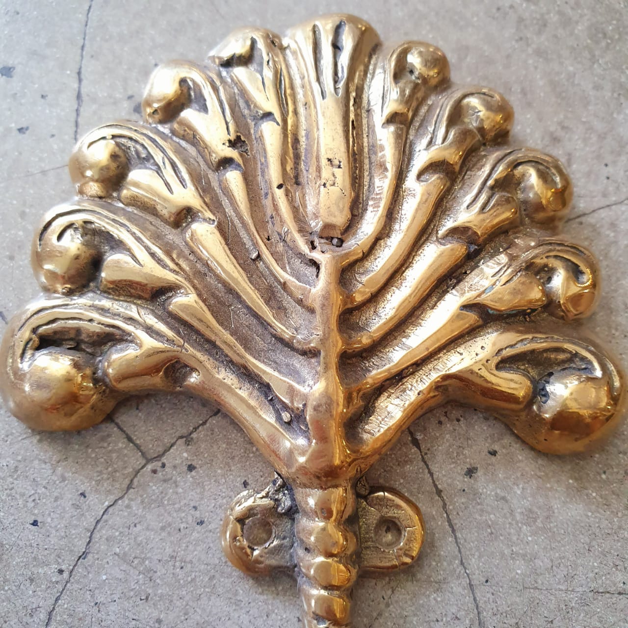Golden Brass Sea Shell Hooks – Canggu & Co