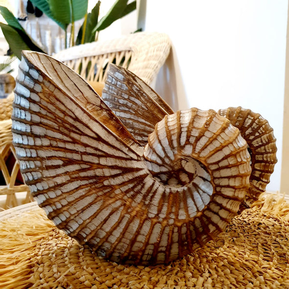 Wooden Nautilus Sea Shell Set of 3