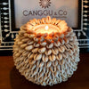 Cowrie Shell Candle Light Holder
