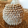 Cowrie Shell Candle Light Holder