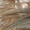 Exotic Tall Straw Grass Fronds