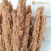 Dried Cantel Flower