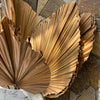 Flat Style Palm Leave Fronds