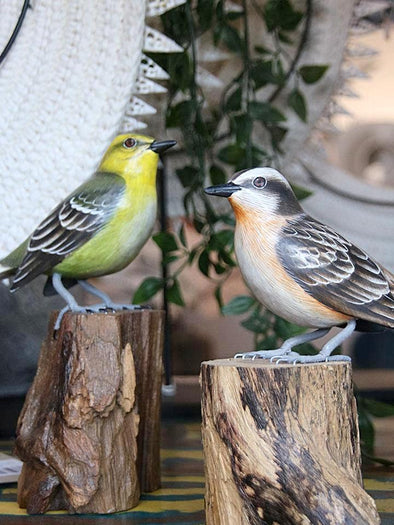 Gold & White Breasted Finches - Canggu & Co
